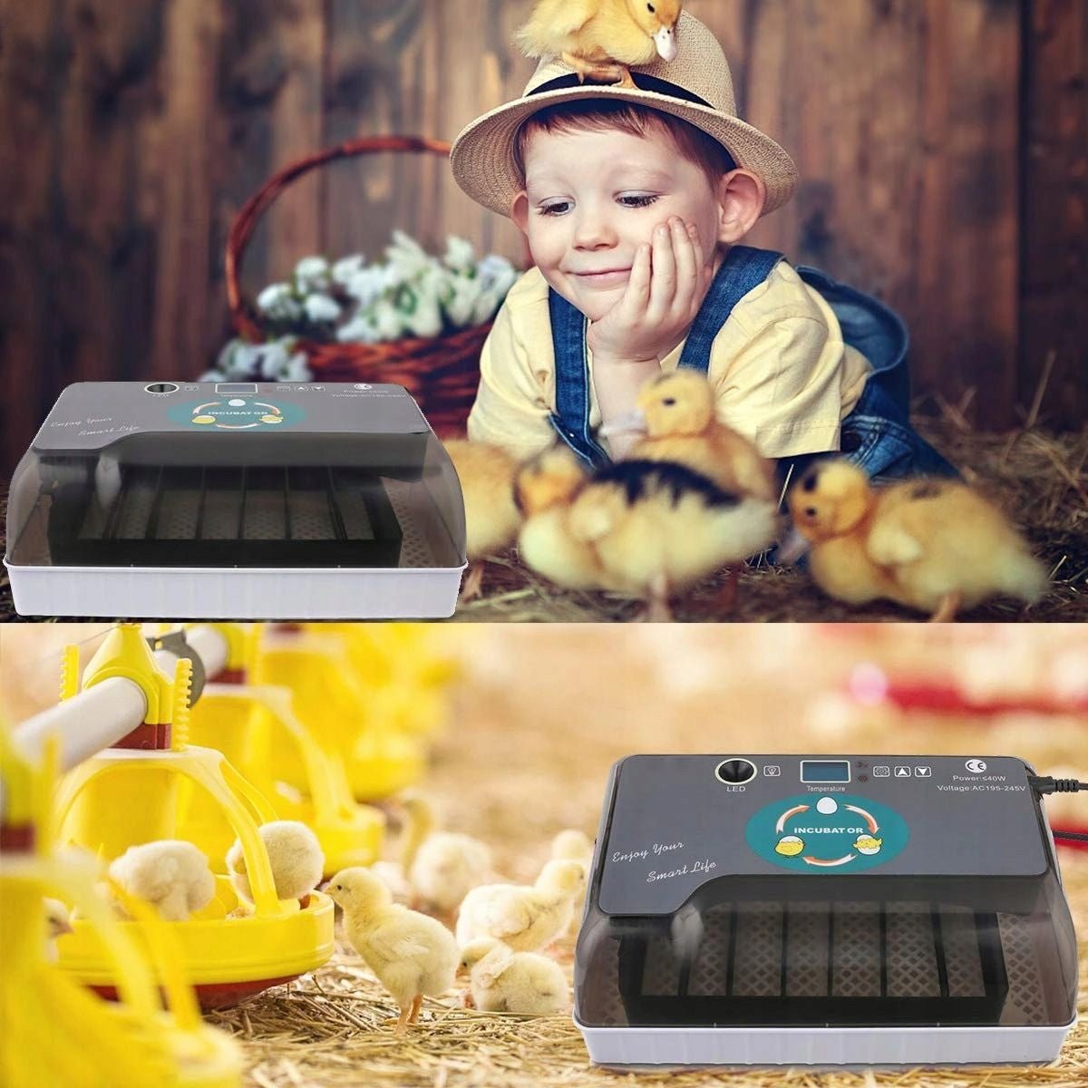 Inkubator do jaj 12/35 - Linbox Digital | Sklep Sellando - Shop