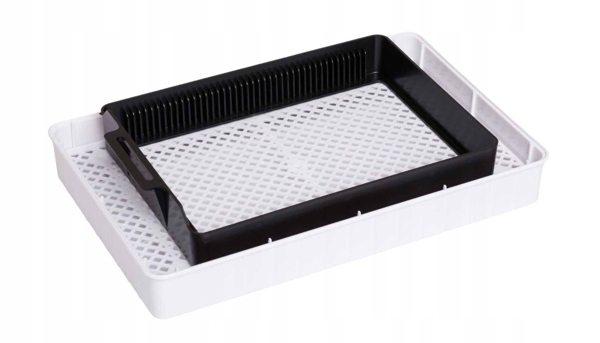Inkubator do jaj 12/35 - Linbox Digital | Sklep Sellando - Shop