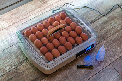 Inkubator do jaj 35 - Linbox Digital | Sklep Sellando - Shop