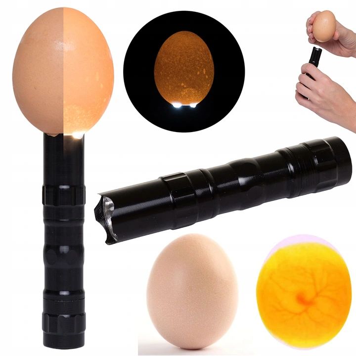 INKUBATOR DO JAJ 88 - Linbox Digital | Sklep Sellando - Shop