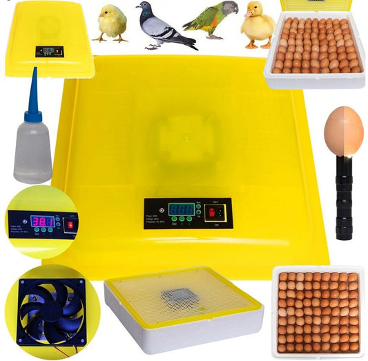 INKUBATOR DO JAJ 88 - Linbox Digital | Sklep Sellando - Shop