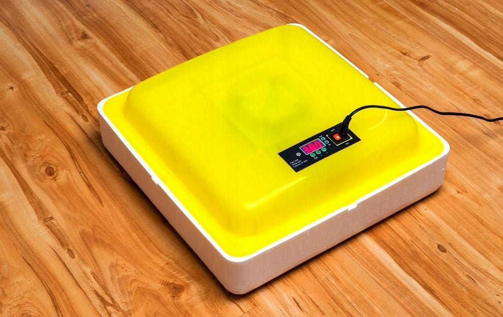 INKUBATOR DO JAJ 88 - Linbox Digital | Sklep Sellando - Shop