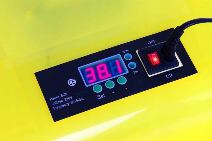 INKUBATOR DO JAJ 88 - Linbox Digital | Sklep Sellando - Shop