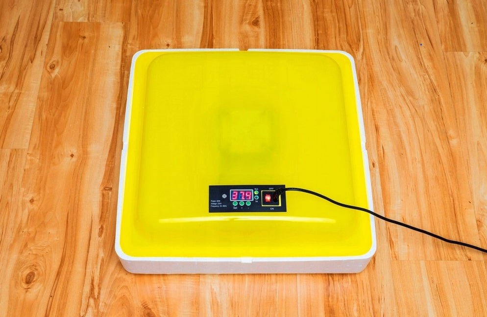 INKUBATOR DO JAJ 88 - Linbox Digital | Sklep Sellando - Shop